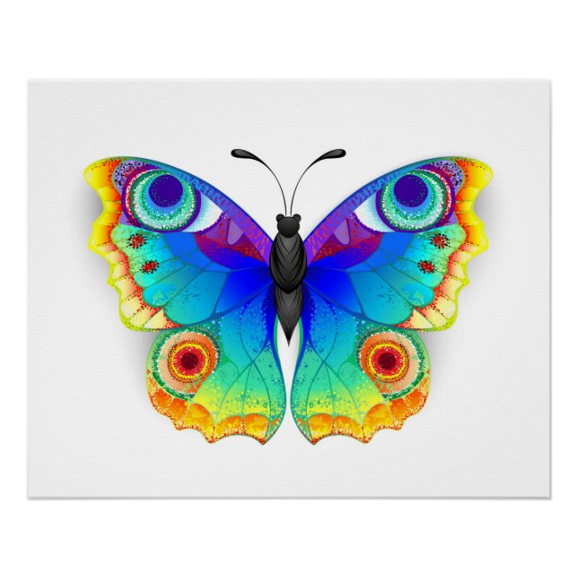 Póster Olho Peacock da Borboleta Arco-Íris (Frente)
