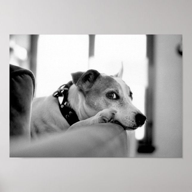 Póster Olho Sério. (Frente)