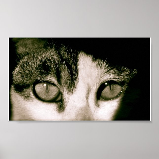 Póster Olhos (Frente)