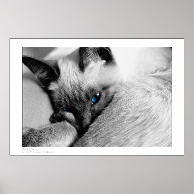 Póster Olhos Azuis (Frente)