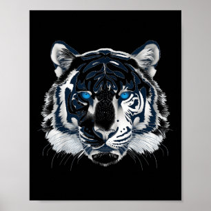 Poster Olhos Brancos Azuis Selvagens Gato Animal _1