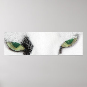 Póster Olhos de Gato