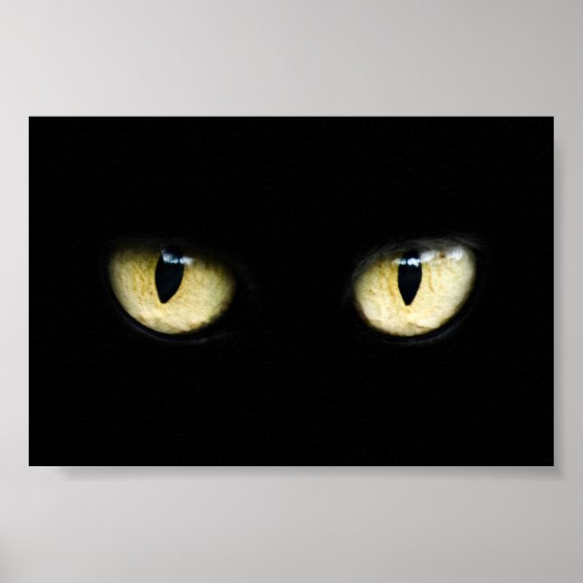 Póster Olhos de Gato (Frente)