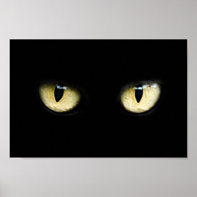 Poster Olhos de Gato (Frente)