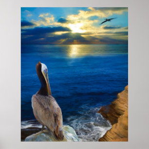 POSTER OLHOS DE SOL DE UM PELICAN