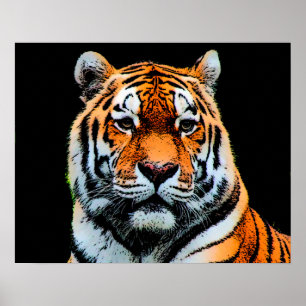 Poster Olhos de Tigre Motivacional