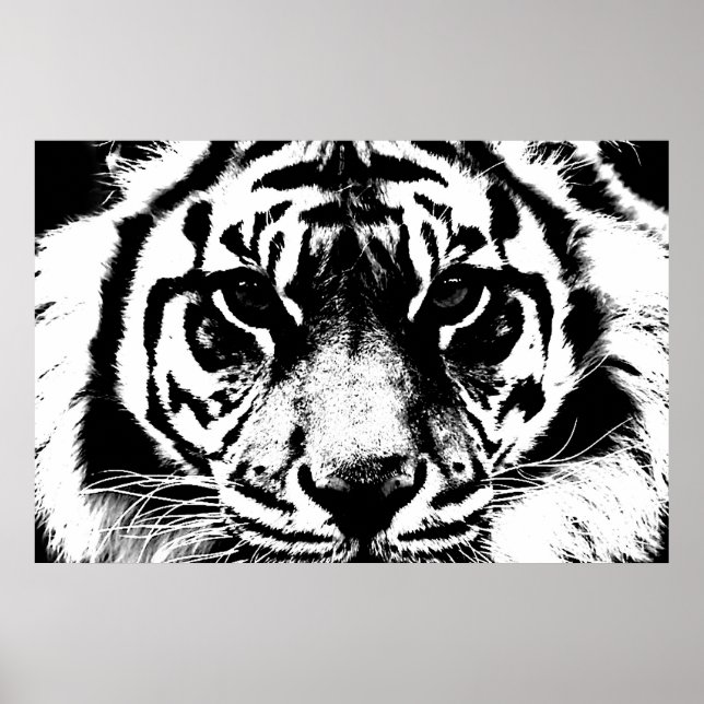Poster Olhos de Tigre Preto e Branco (Frente)