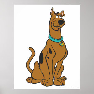 Póster Olhos do filhote de cachorro de Scooby-Doo