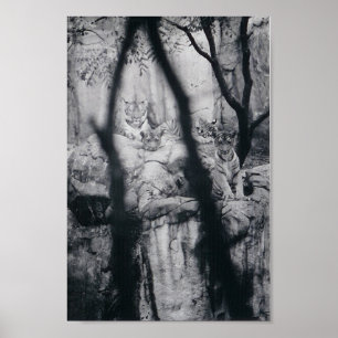 Póster Olhos do tigre