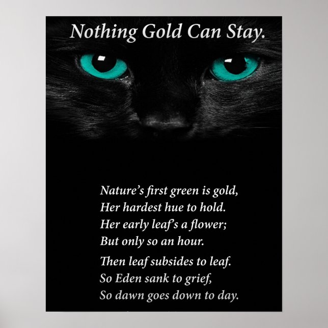 Póster Olhos Fixos (Frente)