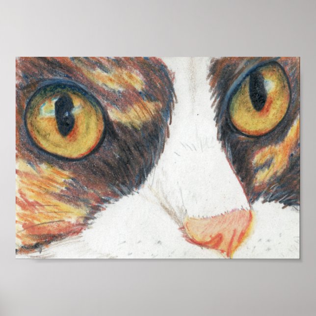 Poster Olhos largos (Frente)