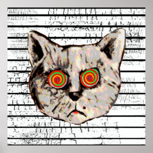 Póster olhos loucos engraçados da espiral do gato