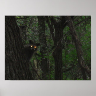 Póster Olhos Noturnos