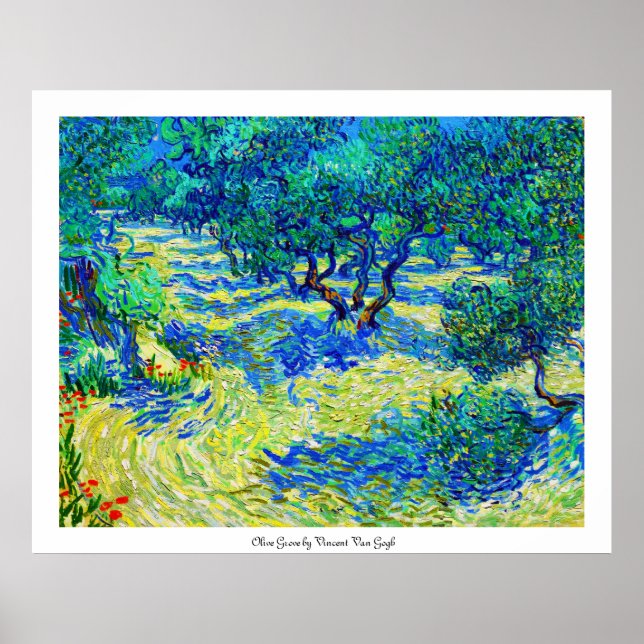 Poster Olive Grove de Vincent Van Gogh (Frente)