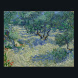Poster Olive Orchard por Vincent Van Gogh<br><div class="desc">Olive Orchard, de Vincent Van Gogh, azeite na canvas 1889, é uma pintura paisagística de um pomar de oliveiras enxutadas com folhas de cinza na colina, solo arenoso sob um céu azul profundo. Pintado em pinceladas enfáticas, quebradas, de movimentos giratórios em cores semelhantes, contrastantes e quase complementares de cinzas, madeiras,...</div>