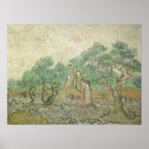 Póster Olive Picting por Vincent van Gogh, Vintage Art
