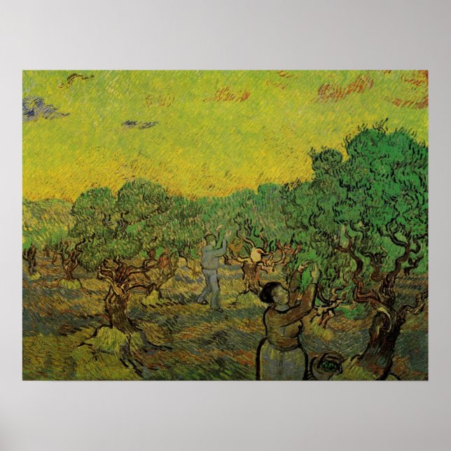 Poster Oliveira com Figuras Colhendo, Vincent van Gogh (Frente)