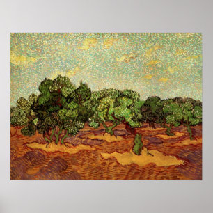 Póster Oliveiral, Céu Azul Pálido por Vincent van Gogh
