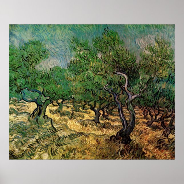 Poster Oliveiral por Vincent van Gogh (Frente)