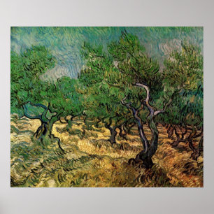 Poster Oliveiral por Vincent van Gogh