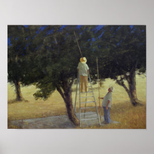 Póster Oliveiras 1985