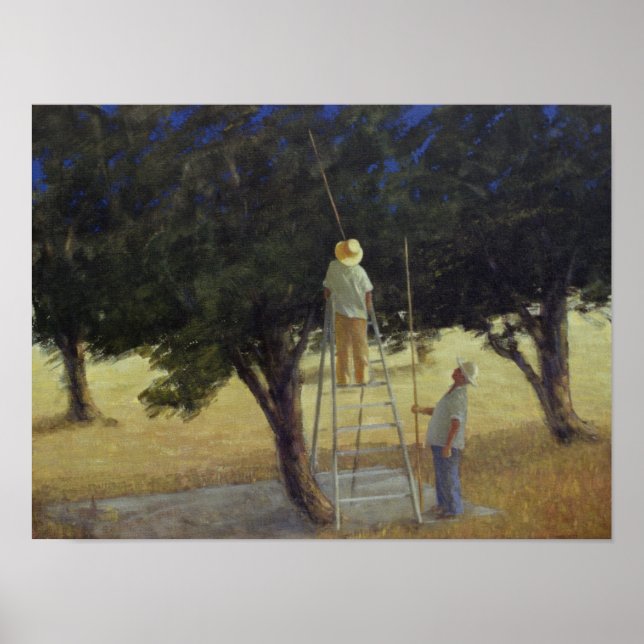 Póster Oliveiras 1985 (Frente)