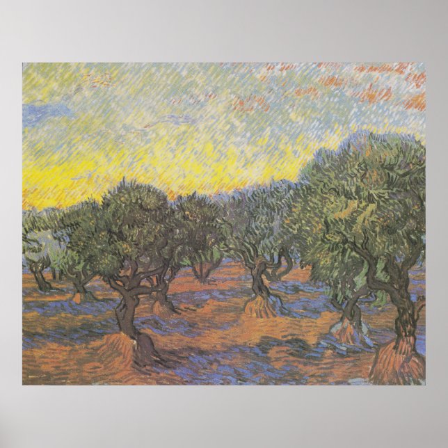 Poster Oliveiras Céu Amarelo Arte de Van Gogh (Frente)