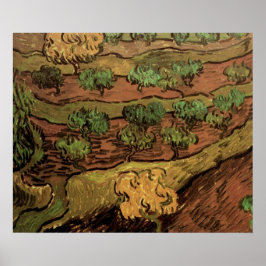 Póster Oliveiras de Van Gogh Contra uma Encosta de uma Co