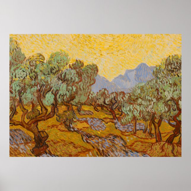 Poster Oliveiras de Van Gogh Sol Amarelo Céu (Frente)