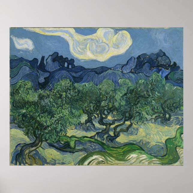 Póster Oliveiras de Vincent Van Gogh (Frente)
