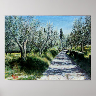 PÓSTER OLIVEIRAS EM RIMAGGIO