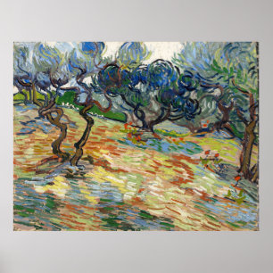 Poster Oliveiras por Vincent Van Gogh