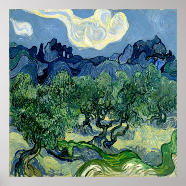 Poster Oliveiras por Vincent van Gogh (Frente)