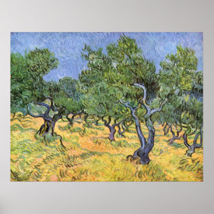 Póster Oliveiras por Vincent van Gogh