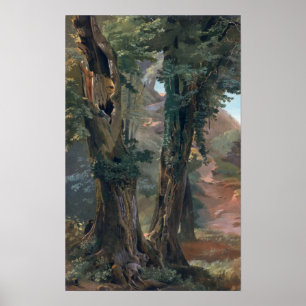Póster Olmos velhos, c.1835