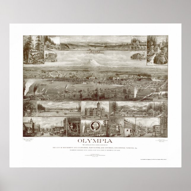 Póster Olympia, WA Panorâmica - 1903 (Frente)