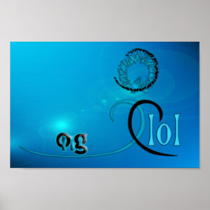 Póster OMG! lol