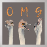 Poster OMG Ostricts<br><div class="desc">Esta é uma pintura aquosa de avestruzes com emoções transitivas da calma para a fusão. Há letras em cima de cada avestruz que se lê "OMG" em folha de ouro falsa.</div>