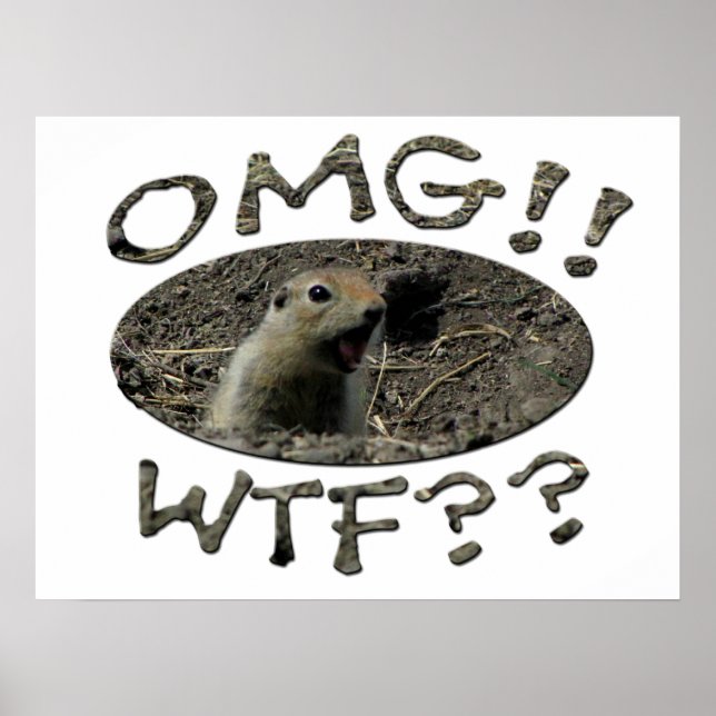 Poster OMG WTF Gopher (Frente)