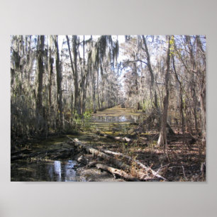 Póster On the Bayou