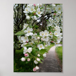 Poster On the Boughs of Blossoms