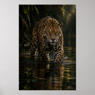Poster Onça-pintada Caminhando pela Água Escura da Selva 