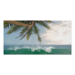 Póster Onda do Oceano Tropical e Palmeira de Coco