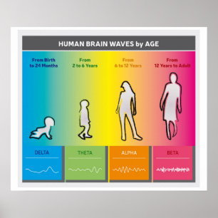 Poster Ondas no cérebro humano por faixa etária Diagrama