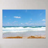 ONDAS TRAZENDO NA SEMENTE MARÍTIMA