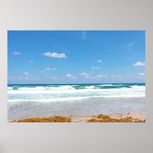 PÓSTER ONDAS TRAZENDO NA SEMENTE MARÍTIMA