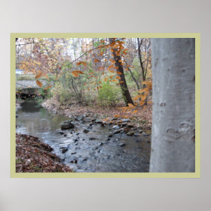 Póster Onde a samambaia vermelha cresce