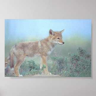 Póster Onde está a mãe?