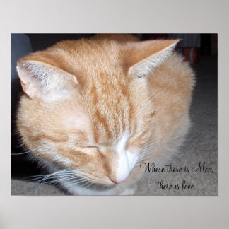 Póster Onde há Moo...