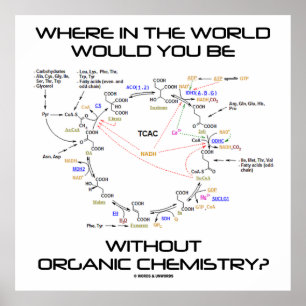 Poster Onde No Mundo Você Sem Química Orgânica?